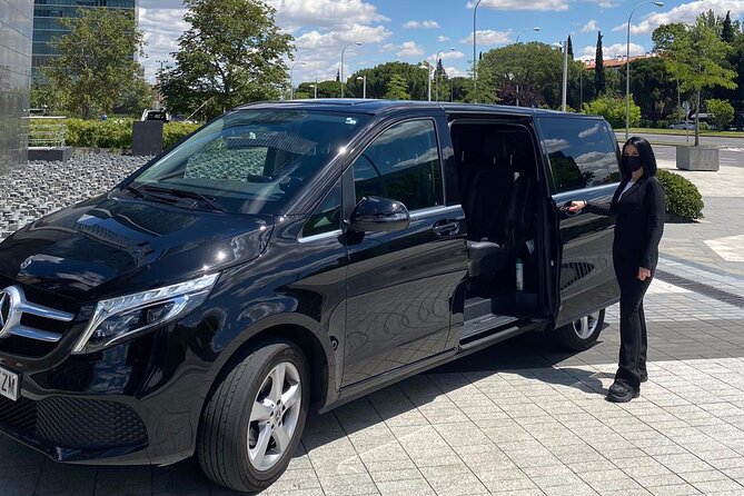 Private 4-hour City Tour of Montreal with driver and guide - Hotel pick up - Culture at Place des Arts