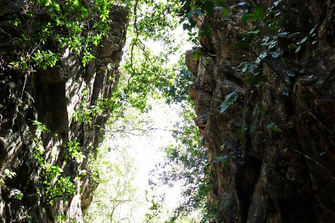 Private 4 hour Hiking Adventure + Breakfast in Nogalito Ecopark - Waterfall Swimming and Nature Views