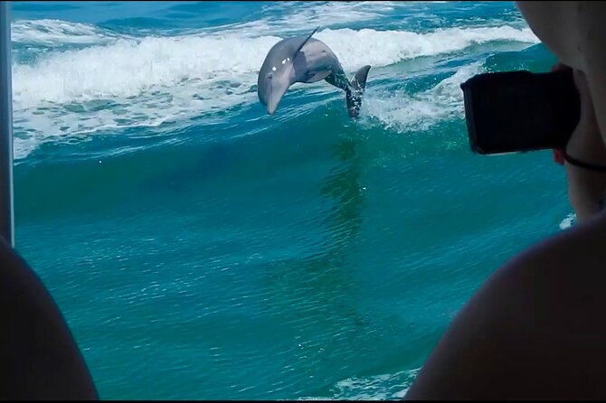 Private 4 Hour Shell Key Island Adventure Dolphins and Shells - Exploring the Mangroves and Estuaries: Wildlife Encounters