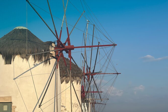 Private 4 Hour Tour Explore the Authentic Mykonian Essence - Quick Stops at Kalafatis and Agia Anna Beaches