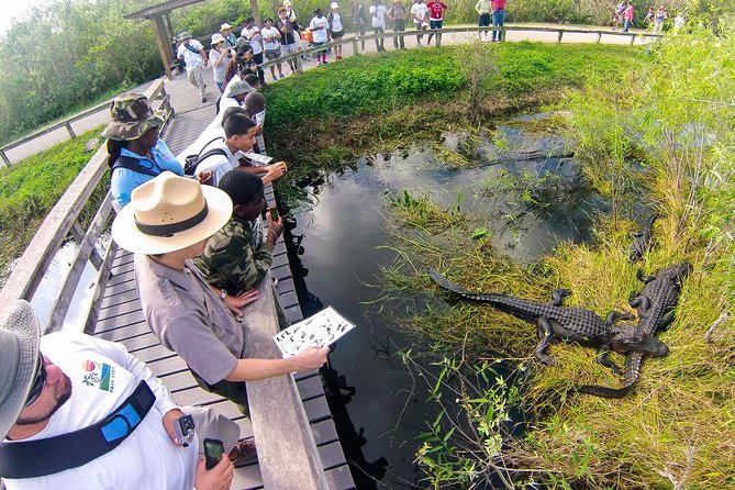 Private 4-hour Tour of Everglades from Miami Dade - How the Private Tour Stands Out in the Everglades from Miami