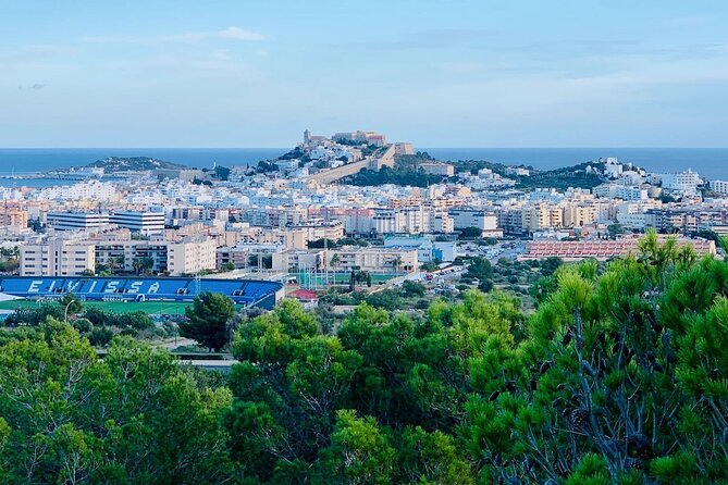 Private 4-hour walking tour of Ibiza with official tour guide - Practical Details and Logistics