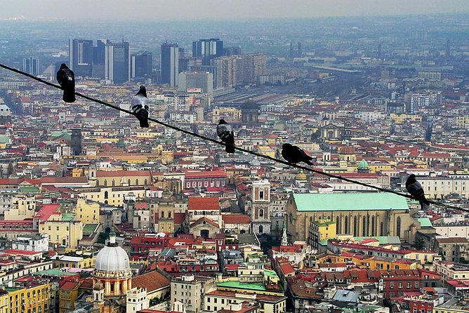 Private 4-Hour Walking Tour of Naples with official tour guide - Key Points
