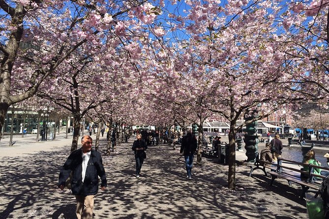 Private 4h VIP city tour by limousine car and guide in Stockholm - The Island of Djurgården and Its Attractions