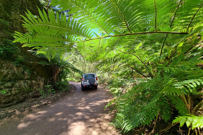 Private 4x4 Jeep Full Day Porto Moniz or Santana - Exploring São Vicente and its Waterfalls