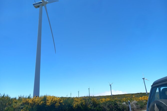 Private 4x4 Jeep Full Day to Santana or Porto Moniz - Santana’s Traditional Houses and Cultural Charm