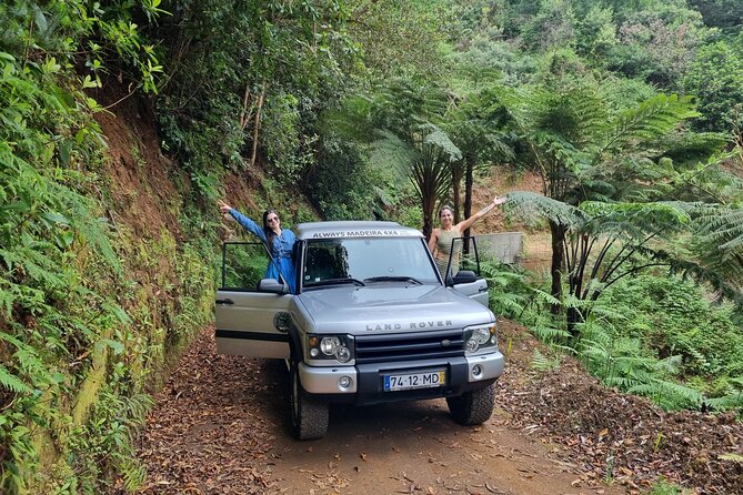 Private 4x4 Jeep Half-Day Tour - "Jurassic Park" - Experience a private 4x4 Jeep tour that offers an exciting and safe way to explore Madeira’s stunning scenery in just four hours. Priced at $275.38 per group for up to five people, this tour is perfect for small groups seeking a personalized adventure. Led by a knowledgeable private guide, the journey includes notable stops like Machico, Miradouro das Funduras, and Miradouro da Portela, with a focus on the lush Laurissilva forest and scenic vistas. The tour uses both motorway and off-road routes, creating a dynamic mix of speed and exploration. Its emphasis on safety and comfort makes it well-suited for all ages, though a moderate level of physical fitness is recommended.