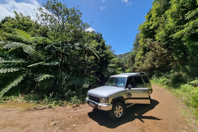 Private 4x4 Jeep Half-Day Tour - "Jurassic Park" - Key Points