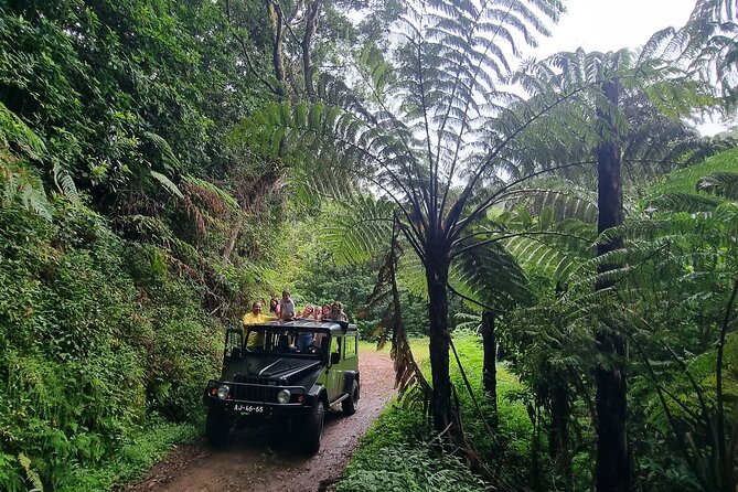 Private 4x4 Jeep Half-Day Tour - "Jurassic Park" - Miradouro da Portela for Photo Opportunities