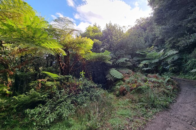 Private 4x4 Jeep Half-Day Tour - "Jurassic Park" - A Journey Along Estrada dos Maroços