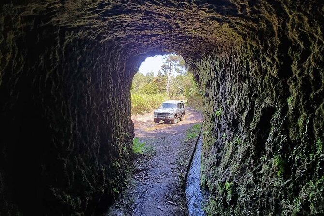 Private 4x4 Jeep Half-Day Tour - "Jurassic Park" - The Guide: Edgar’s Expertise and Friendly Approach