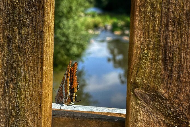 Private 4x4 Mountain Tour from Porto - Practical Details: Meeting Point, Accessibility, and Booking