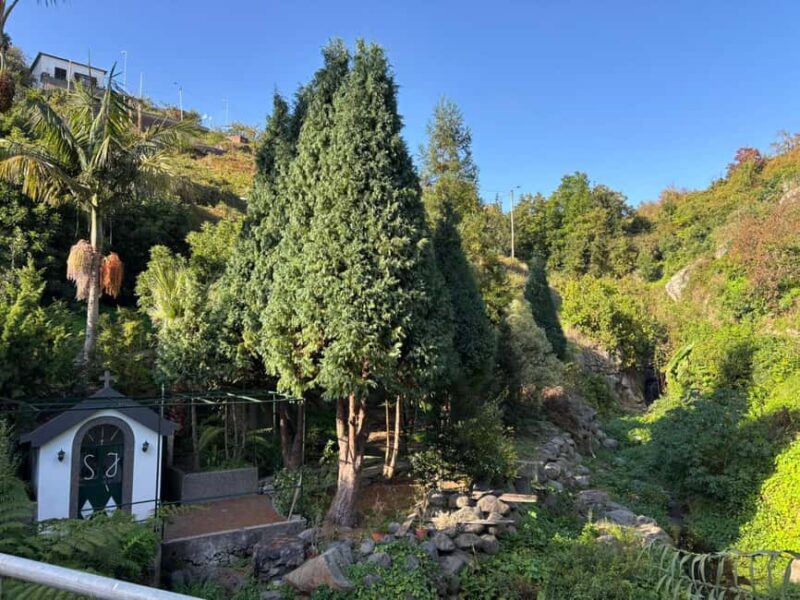 Private 4x4 Shore Excursion: Madeira Culture & Trails 4-6H - Off-Road Adventure to Boca dos Namorados and Curral das Freiras Viewpoints