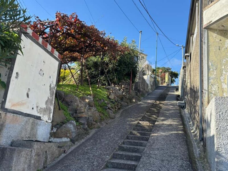 Private 4x4 Shore Excursion: Madeira Culture & Trails 4-6H - The Sum Up: A Personalised Madeira Adventure in a 4x4