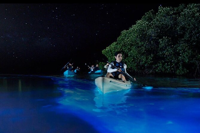 Private 5 day California Vineyards, Waves and Wine Tour - Day 3: Cycling Through the Russian River Valley Vineyards