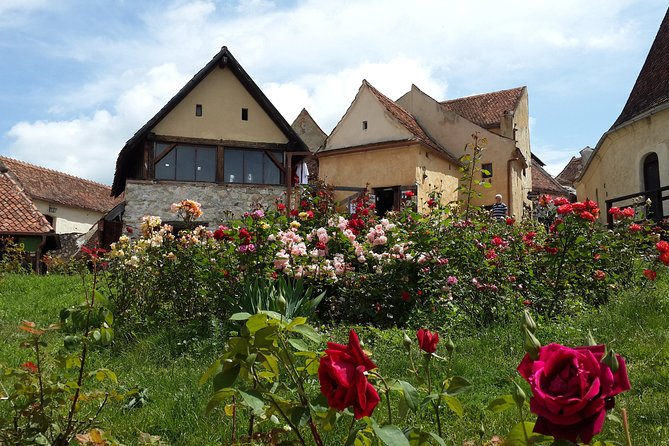 Private 5-Day Tour in Transylvania from Bucharest Hotel Pick-up and Drop off - Who Will Appreciate This Tour Most?