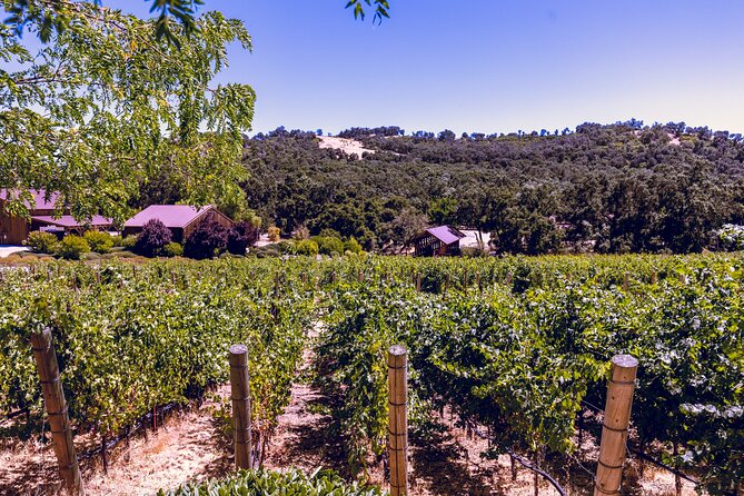 Private 5-Hour Transportation from Paso Robles or Atascadero - Personalized Itinerary and Winery Choices