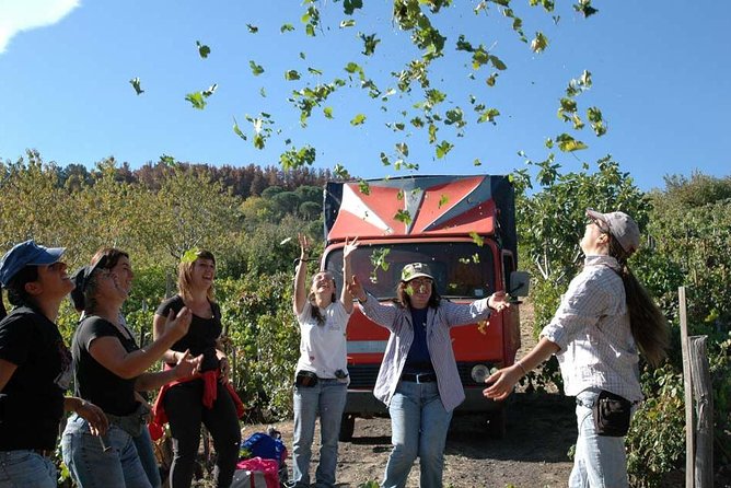 Private 6-Hour Tour of Three Etna Wineries with food&wine tasting - Scenic Routes and Picturesque Stops