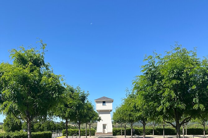 Private 6hr Wine Tour with Priority Wine Pass 2-for-1 Tastings - What’s Included and What’s Not