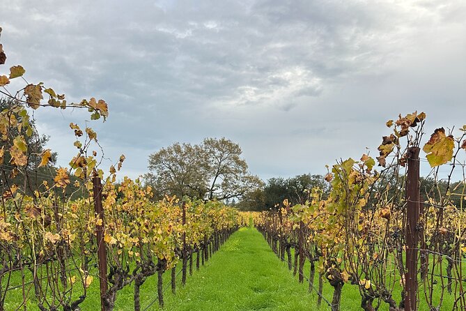 Private 6hr Wine Tour with Priority Wine Pass 2-for-1 Tastings - Logistics and Accessibility