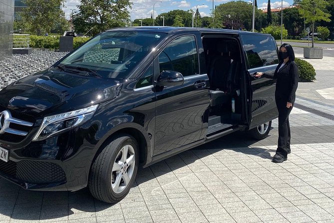 Private 8-hour Excursion from Naples Cruise Port or City Hotel to Amalfi Coast - Customization and Optional Guided Experience