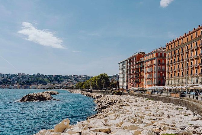 Private 8-hour Excursion of Naples and Pompeii from Naples Cruise Port or Hotel - Explore Naples and Pompeii in a Private 8-Hour Excursion