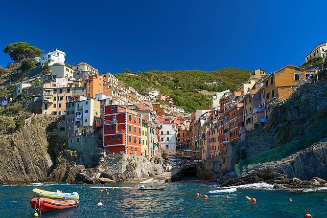 Private 8-hour Tour from Livorno Cruise Port to Cinque Terre - Free Time for Exploration and Lunch in Cinque Terre
