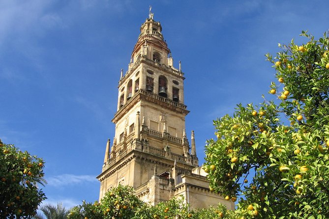 Private 9-Hour Tour to Cordoba from Granada with Hotel pick up & drop off - Visiting the Alcazar de los Reyes Cristianos