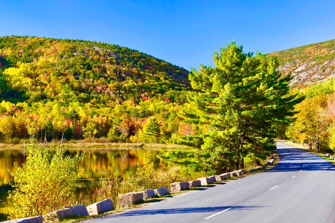 Private Acadia & Mount Desert Island Tour (full day, six hours) - Starting Point and Transportation in Style