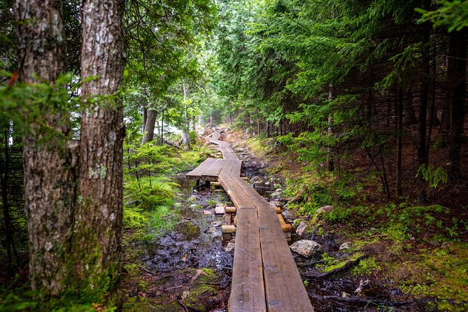 Private Acadia & Mount Desert Island Tour (full day, six hours) - The Culinary Experience at a Local Lobster Pound