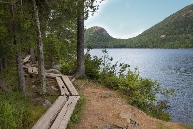 Private Acadia & Mount Desert Island Tour (full day, six hours) - Limitations and Considerations