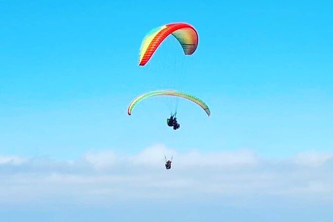 Private Activity Paragliding Flight in Gran Canaria - Gran Canaria’s Elevated Viewpoints: A New Perspective
