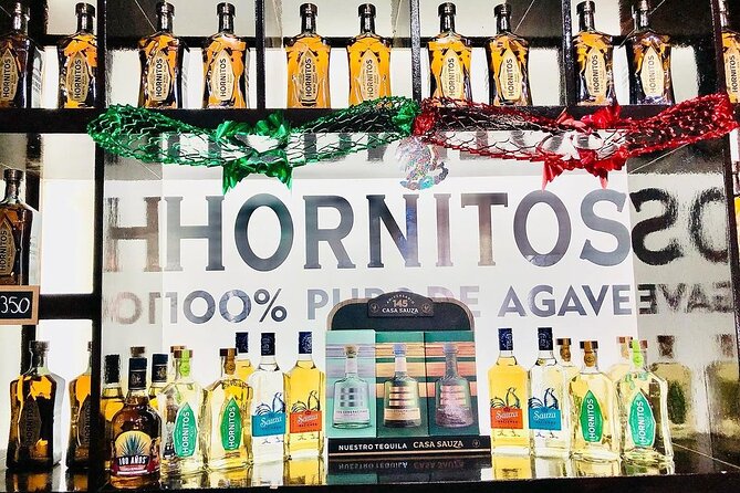 Private Adventure to Casa Sauza Distillery and Visit to Tequila - Practical Logistics and Convenience