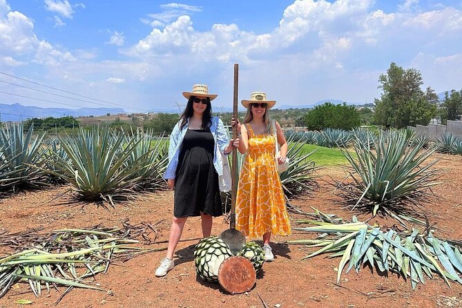 Private Adventure to Casa Sauza Distillery and Visit to Tequila - What’s Not Included and Additional Tips
