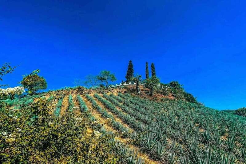 Private Adventure to Tequila and la Fortaleza Distillery - Sampling and Tasting Premium Tequilas