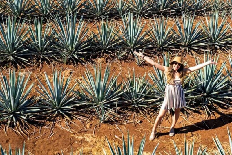 Private Adventure to Tequila and Tequila El Tequileño - Flexibility and Booking Ease with Cancelation Options