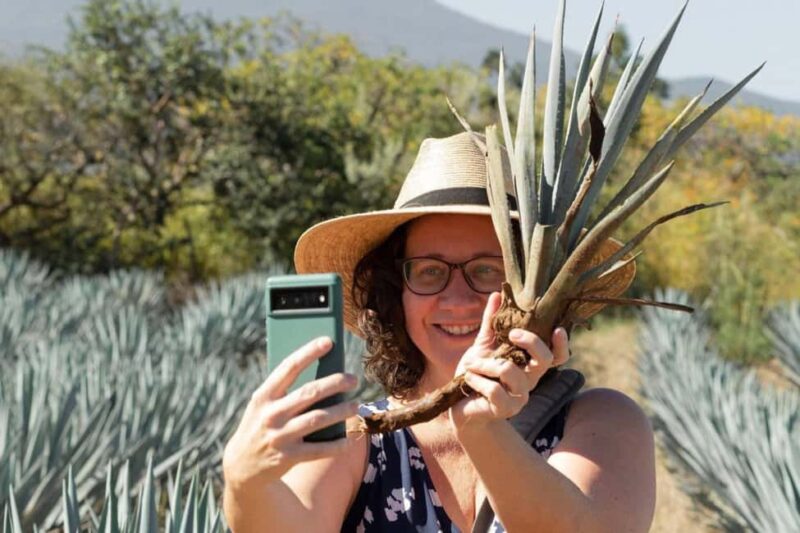 Private Adventure to Tequila and Tequila El Tequileño - A Well-Rounded Day in Jaliscos Tequila Heartland