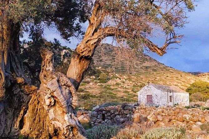 Private Aegina Island Tour with a Local Certified Guide - Highlights of the Private Aegina Tour