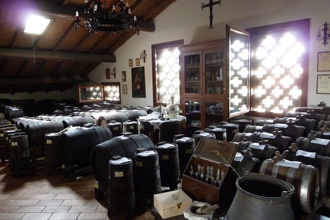 Private Afternoon Tour in Historic Acetaia and Ferrari Museum - Logistics and Accessibility