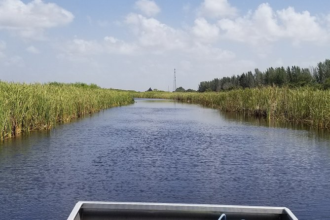 Private Airboat Tours Near West Palm Beach - Exploring the Everglades: Wildlife and Habitats