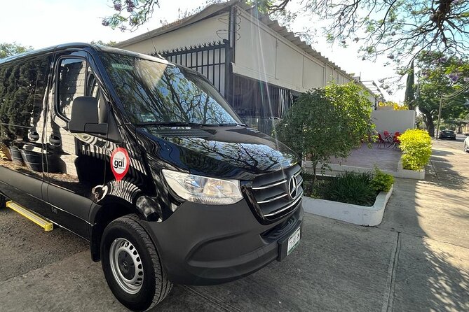 Private Airport Transfer to Guadalajara Hotels Safe & Stress-Free - Who Should Book This Private Transfer in Guadalajara