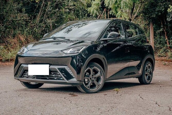 Private Airport Transfer to Tuxtla Gutierrez - Simple Booking with Mobile Ticket and Clear Confirmation