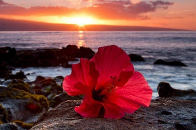 Private Airport Transfer to Waikoloa Resorts Private Residence - How the Private Airport Transfer Fits into Your Big Island Trip