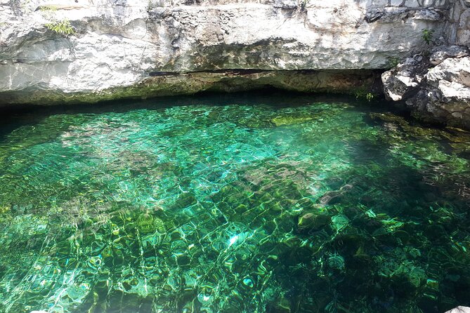 Private Akumal & Cenotes tour - Highlights of the Tour Experience