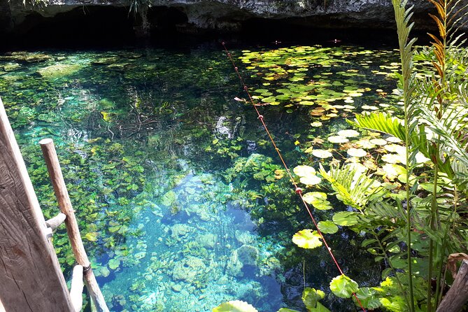 Private Akumal & Cenotes tour - Limitations and Considerations
