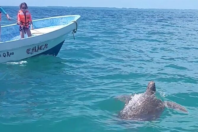 Private Akumal & Cenotes tour - Frequently Asked Questions