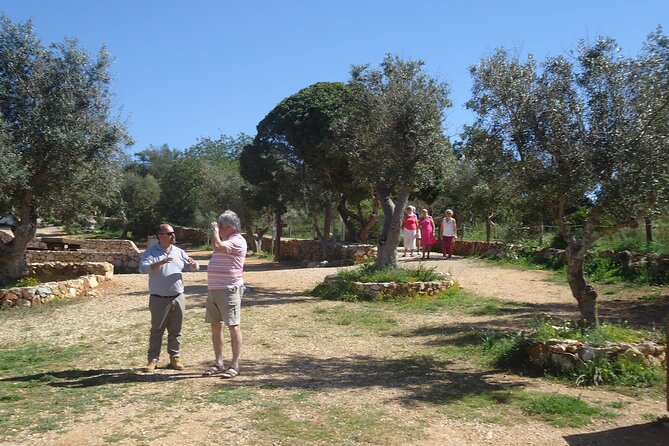 Private Algarve Tour with Typical Lunch, pax min. 2. - Authentic Algarvan Cuisine in Alferce