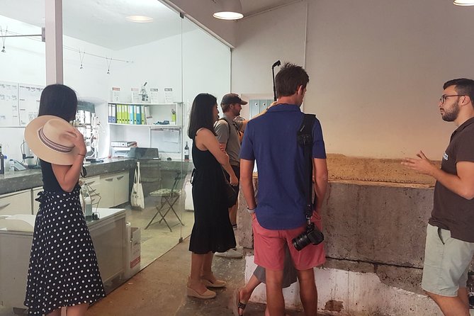 Private Algarve Wines Route - Visit Quinta Do Frances Winery in Silves