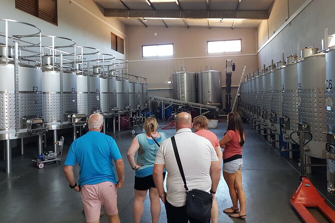 Private Algarve Wines Route - Comparing the Wineries: Boutique Charm and Passion