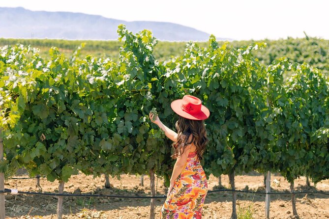 Private All-Inclusive 3-Winery SYV Tour from Santa Barbara - Discover the Best of Santa Ynez Valley on a Private All-Inclusive Tour